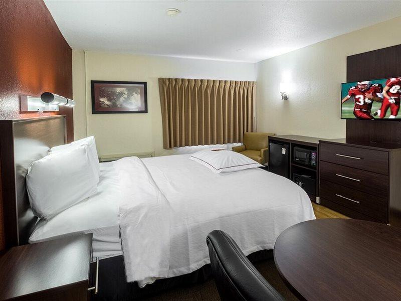 Red Roof Inn Plus+ South Deerfield - Amherst Dış mekan fotoğraf